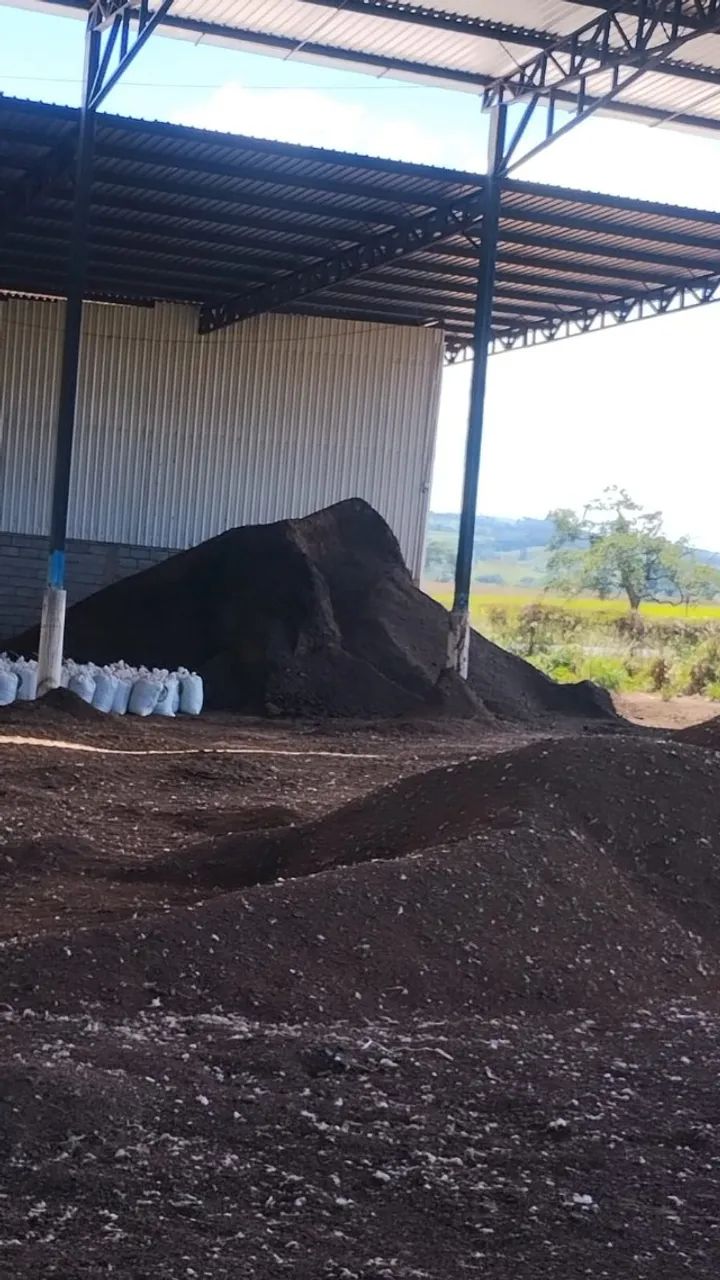 cama de frango o melhor fertilizante  organico livre de praga  - Foto 2