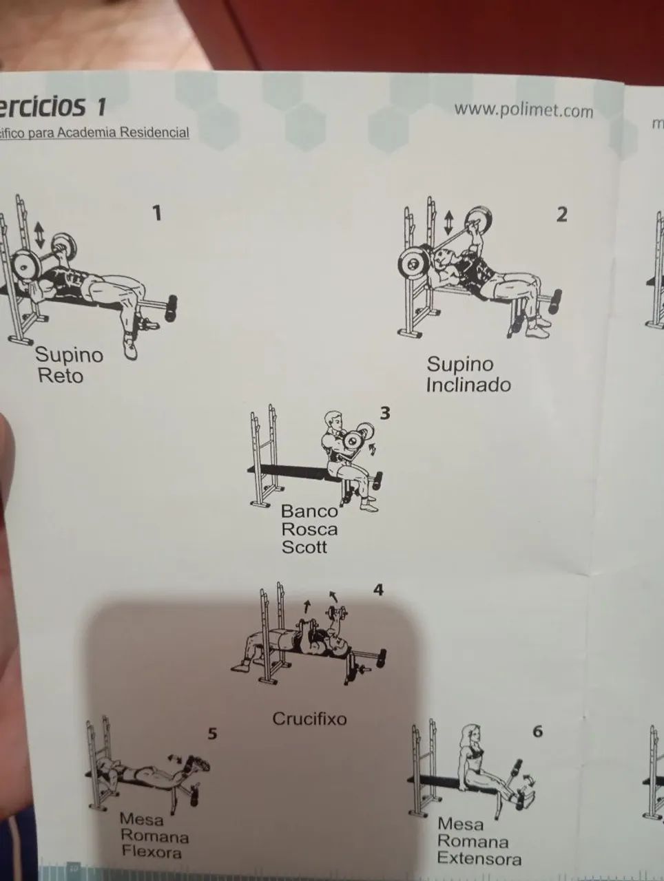 Banco de Musculação Master GYM - Foto 3