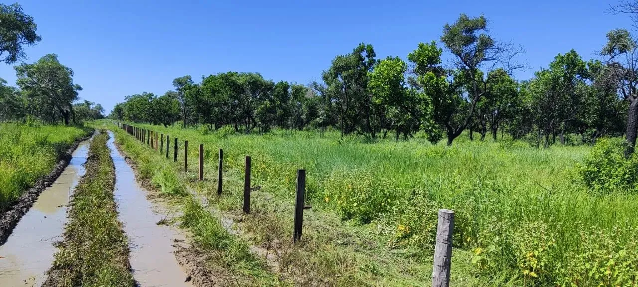 CÓD. 491 VENDA - REGIÃO ENTRE RIO NEGRO E RIO AQUIDAUANA