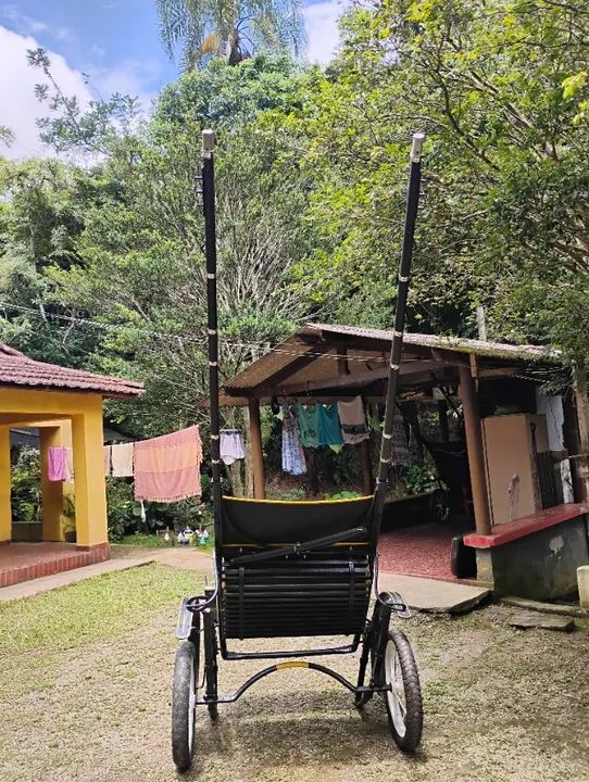 Charrete a venda  - Foto 5