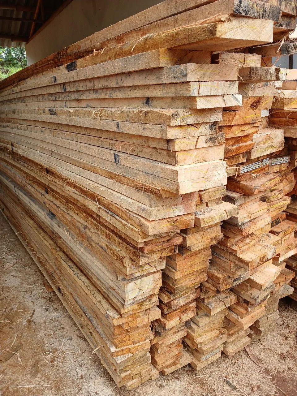 Madeira de eucalipto  - Foto 6