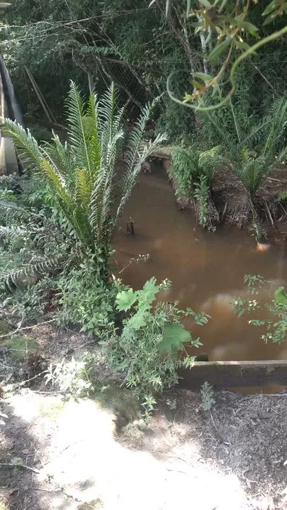 Chácara em Sjp depois do caminho do vinho  , Aceita carro  - Foto 4