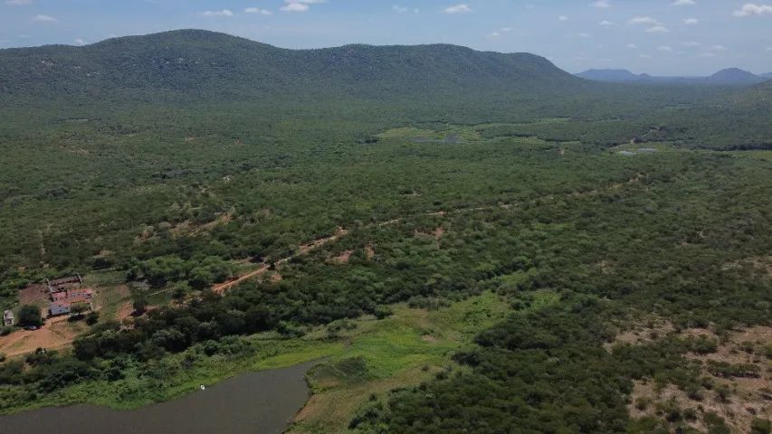 3 excelentes propriedades no Sertão da PB. - Foto 6