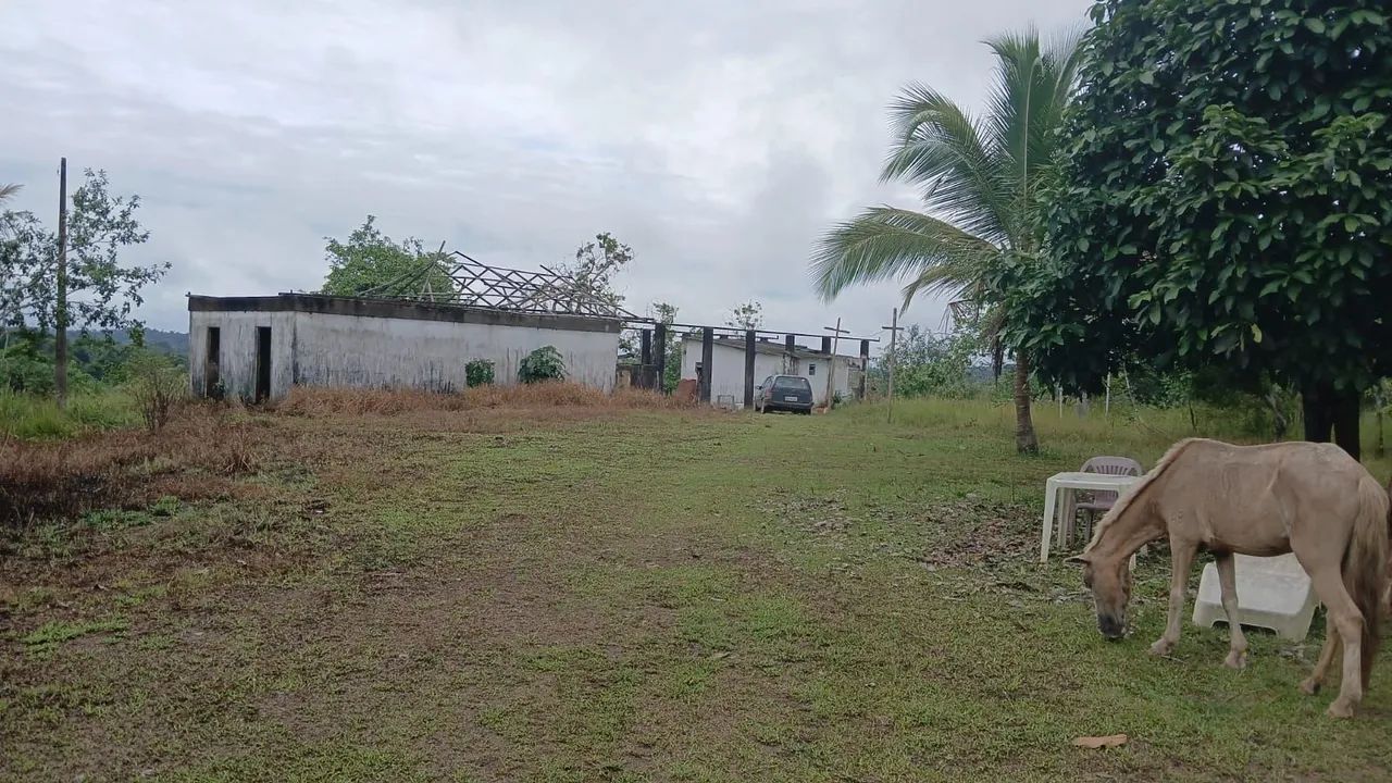 Vende-se Fazenda em Ilhéus-Ba  - Foto 3