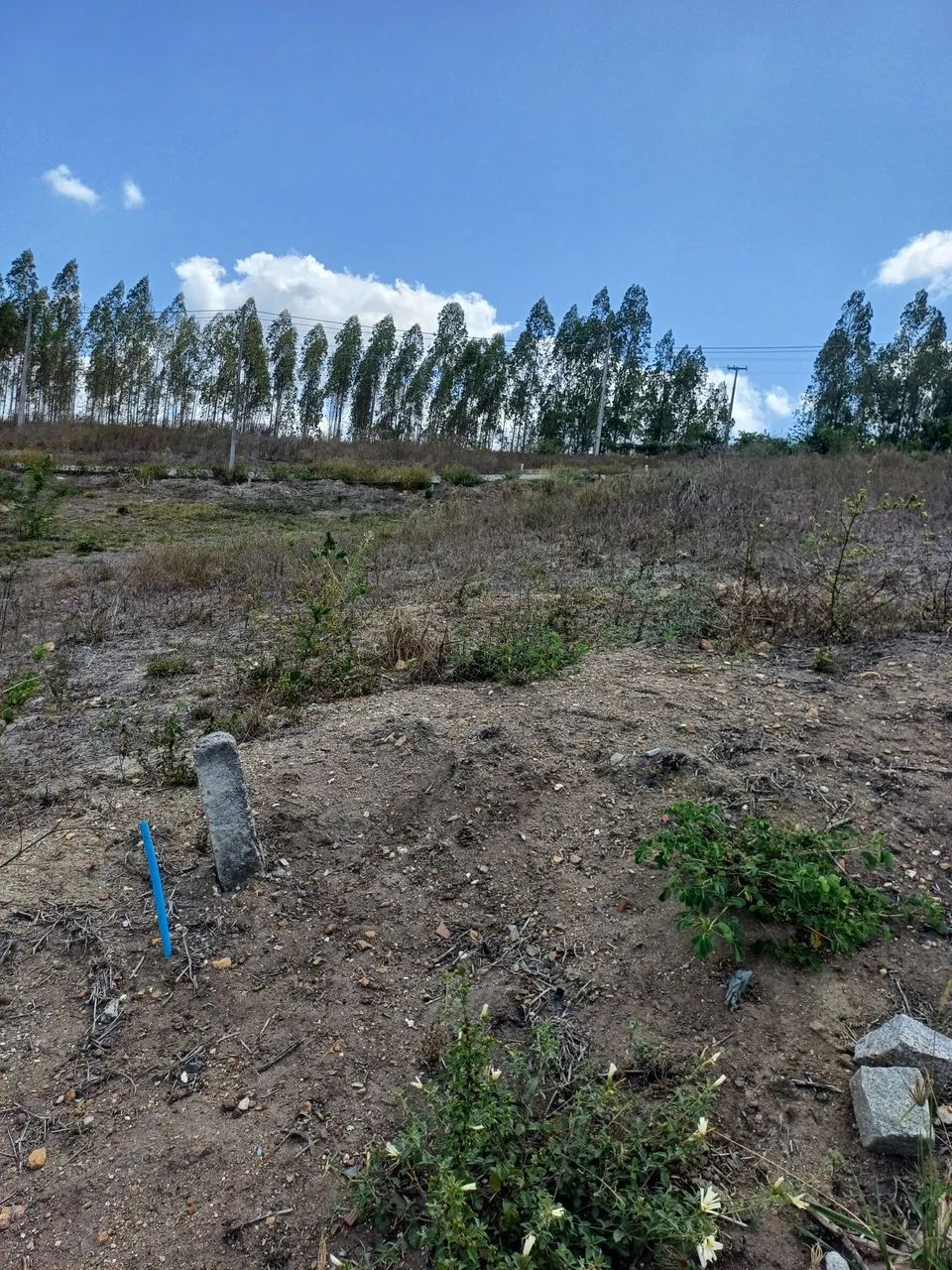 Terreno Tracunhaém 8x20 - Foto 3