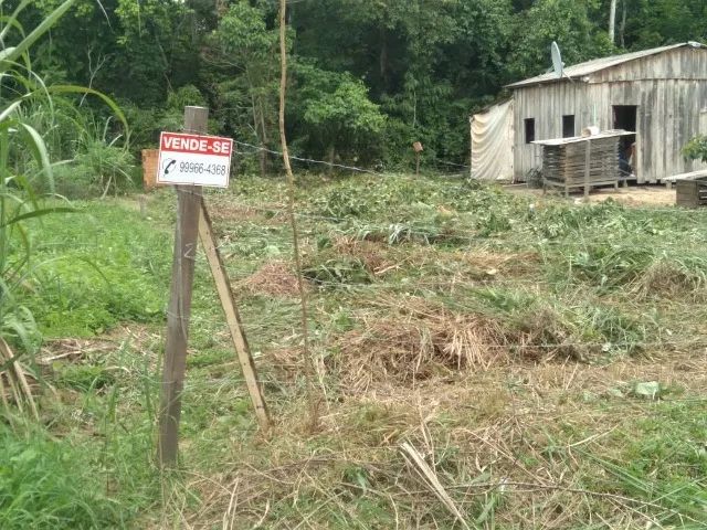 LOTE DE TERRA MEDINDO 10M DE LARGURA POR 30M - RAMAL TUCUMÂ - VILA ACRE - Foto 5