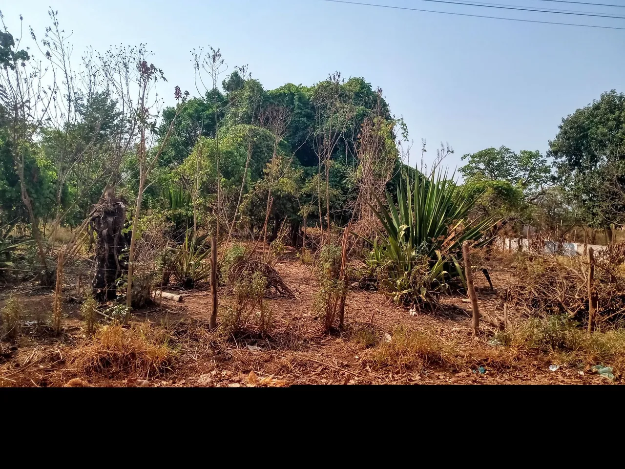 Lote 1000m2 Em Mansões Estrela Dalva 1 Ocidental GO