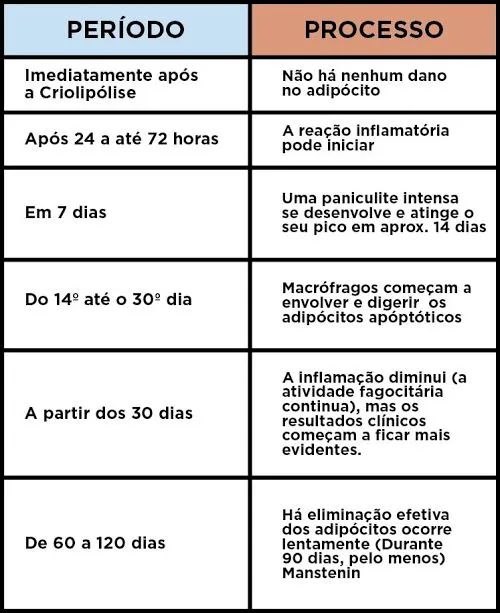 Aluguel diária Criolipólise  - Foto 3