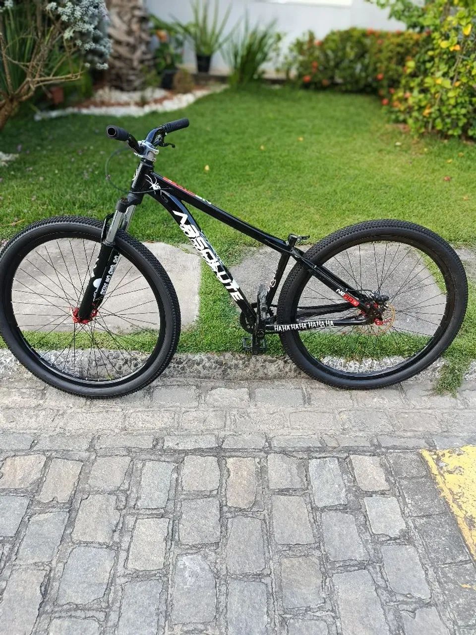 Bicicleta 29