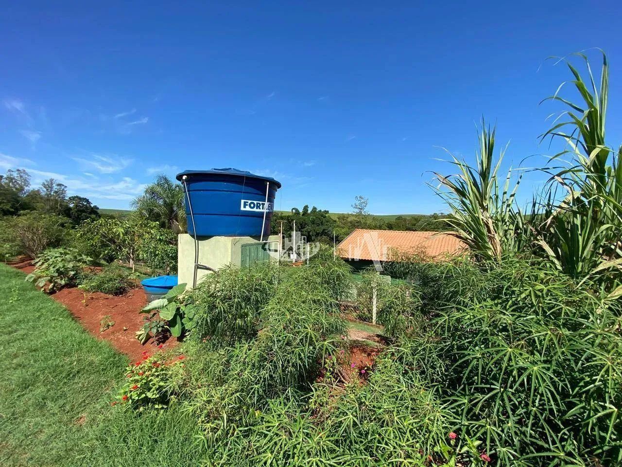 Sítio com 2 quartos à venda, 6 Alqueires por R$ 2.200.000 - São Luiz - Londrina/PR - Foto 3