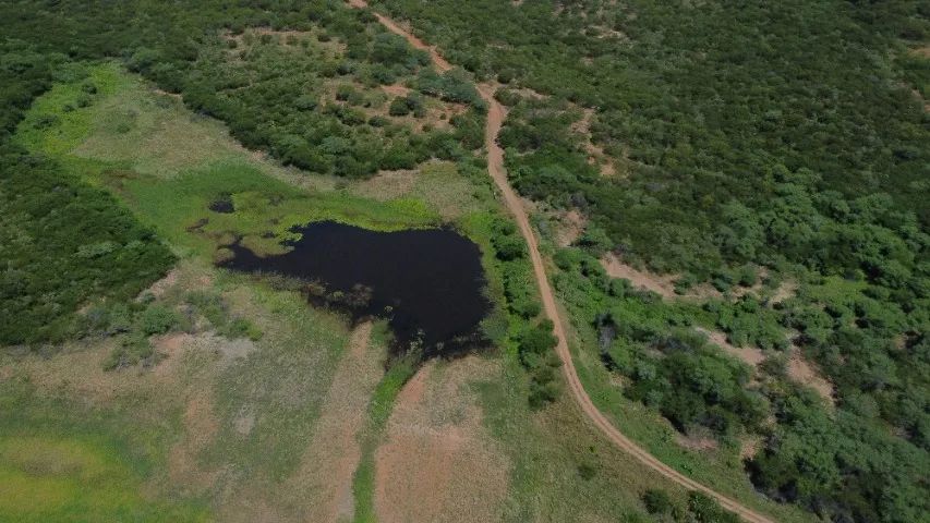 3 excelentes propriedades no Sertão da PB. - Foto 3