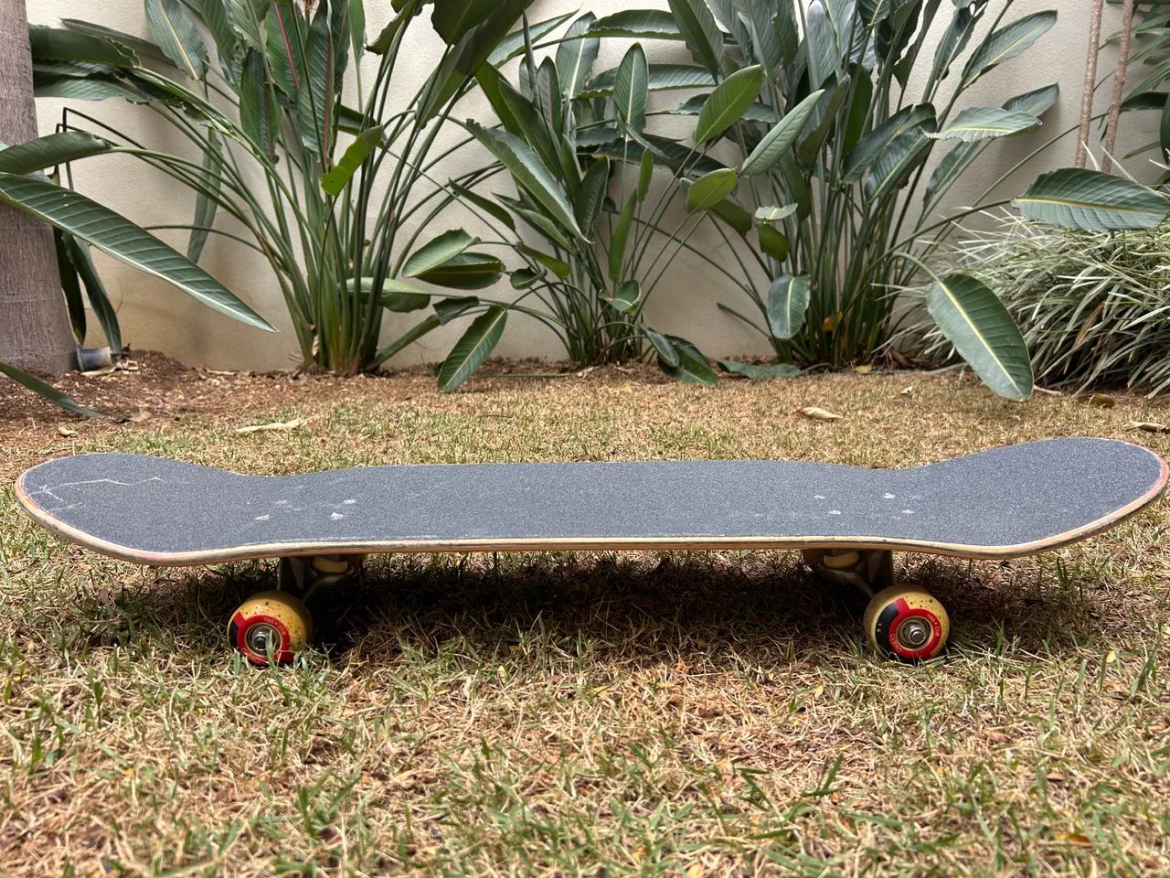 Skate oxelo - Foto 4