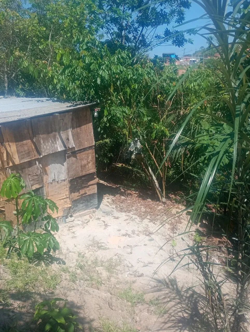 Foto - Manaus - Cidade de Deus