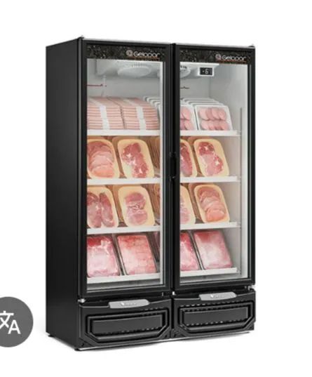 NZ. Expositor refrigerado até -6?C 2 portas GELOPAR 