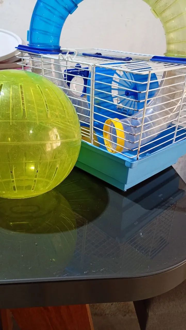 Gaiola pra ramister com bola