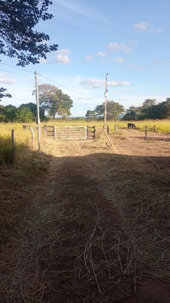 Chácara para morar e/ou lazer - Foto 3