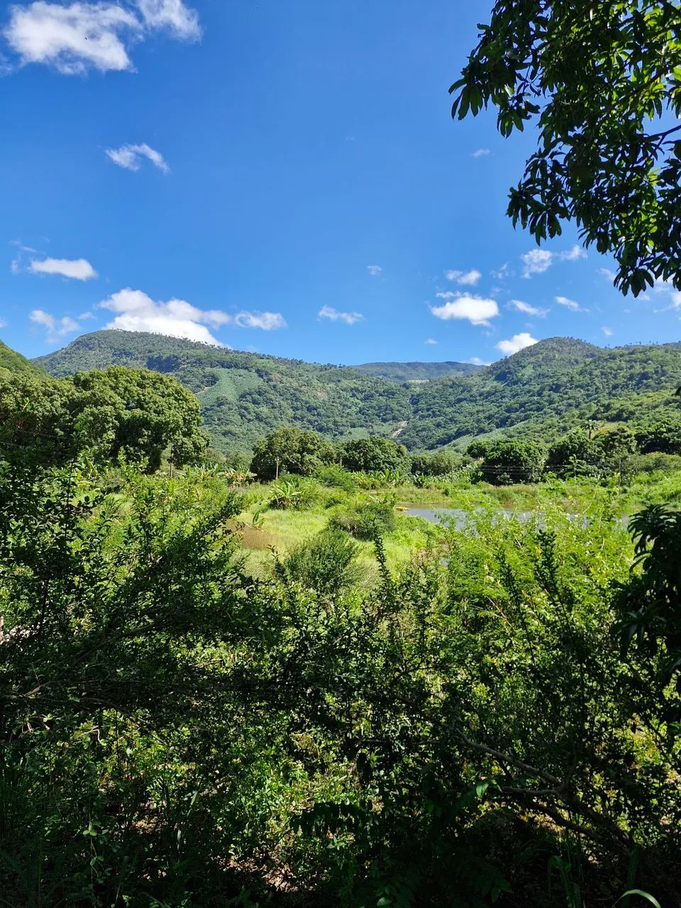 Sitio no Jordão dos Almeida (Baturité, CE). - Foto 5
