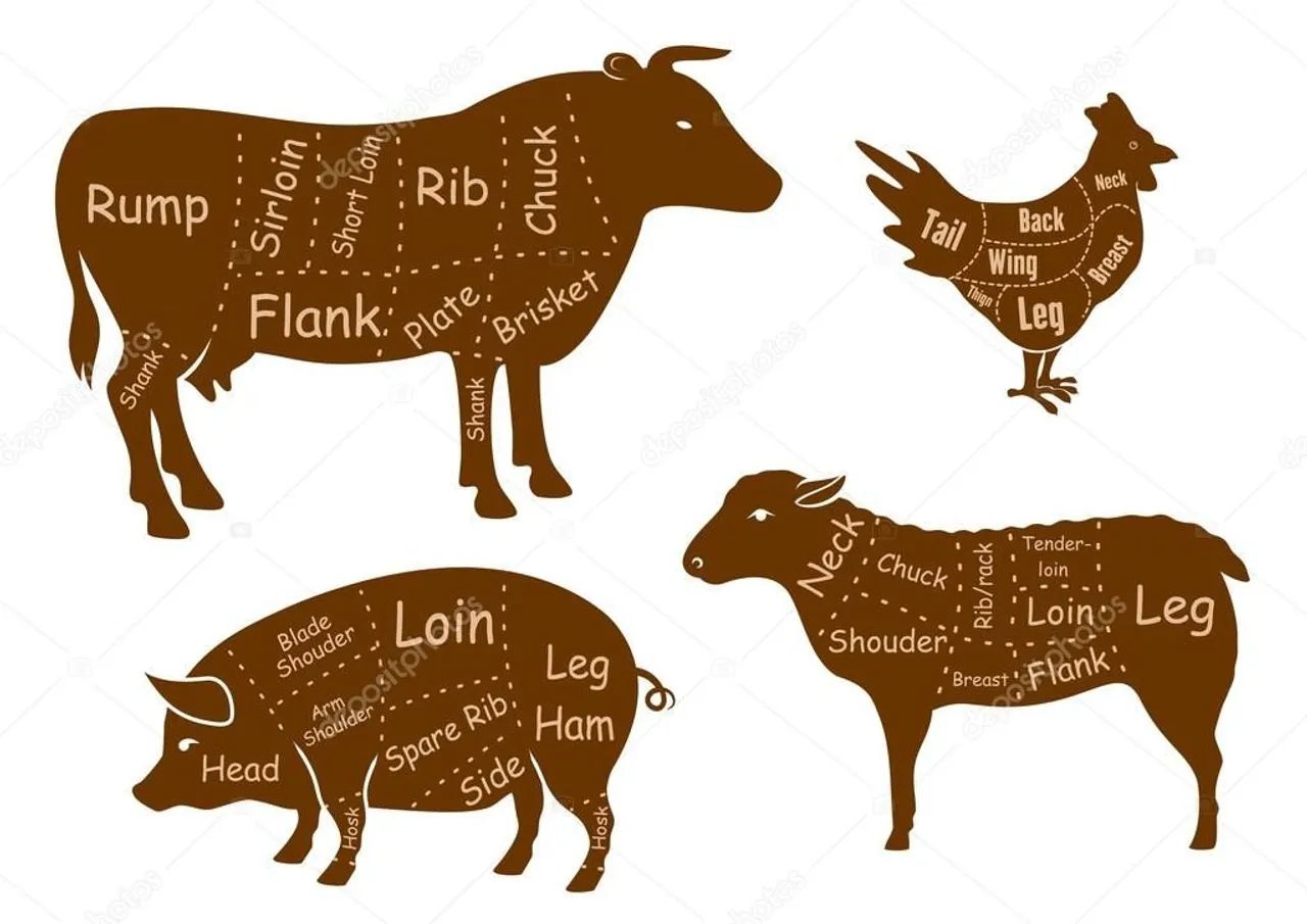 Porco cabra bode carneiro vaca galo frango