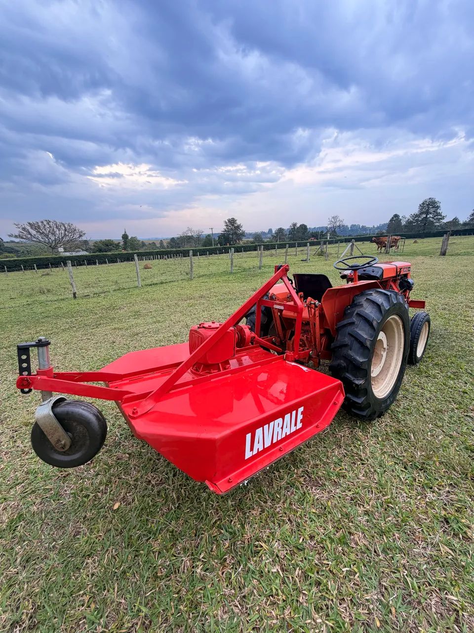 Trator Agrale 4100 C/3 implementos - Foto 2