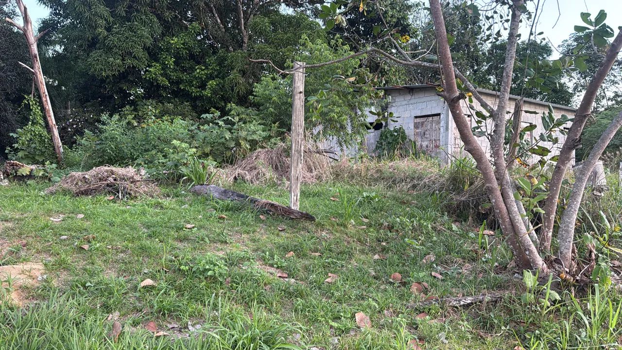Vendo terreno no ramal do brasileirinho  - Foto 2