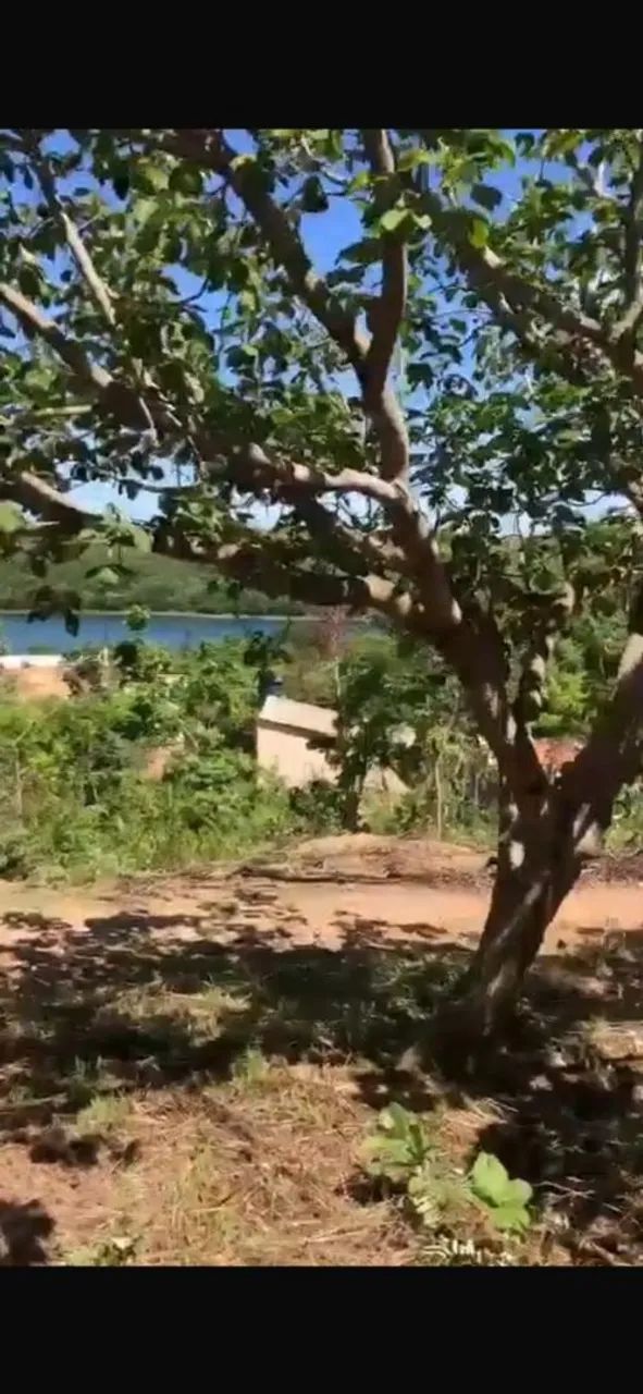Foto - Silvânia - 