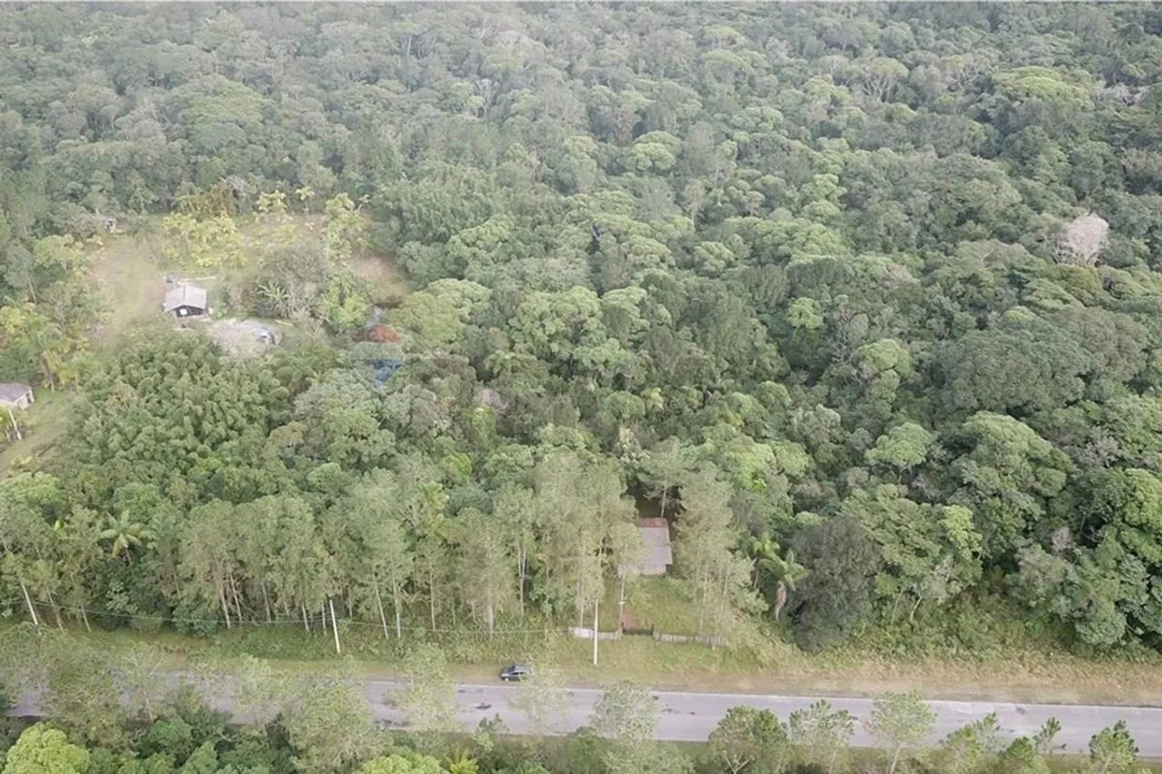 Sítio do Bolinha | 5,41 hectares | Cananéia  SP - Foto 4