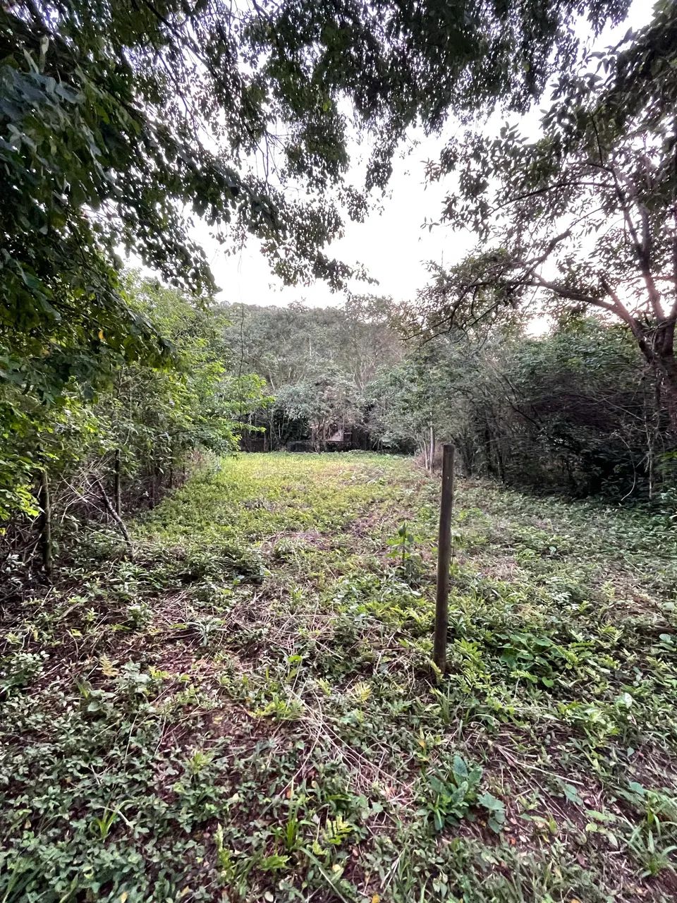 Lote em Barão de Iriri, Magé  - Foto 3