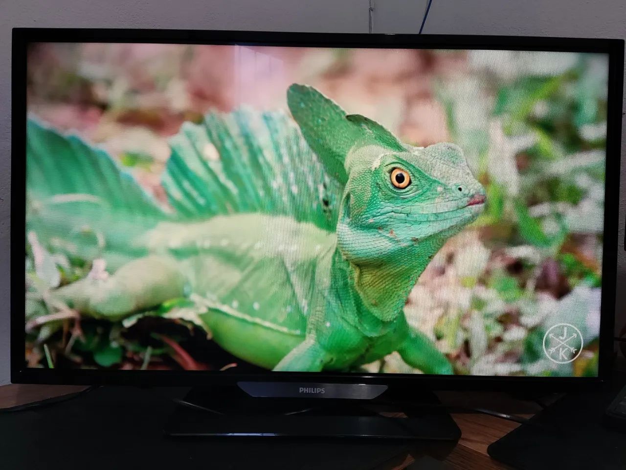 TV Philips 32 polegadas - Não envio - Foto 3