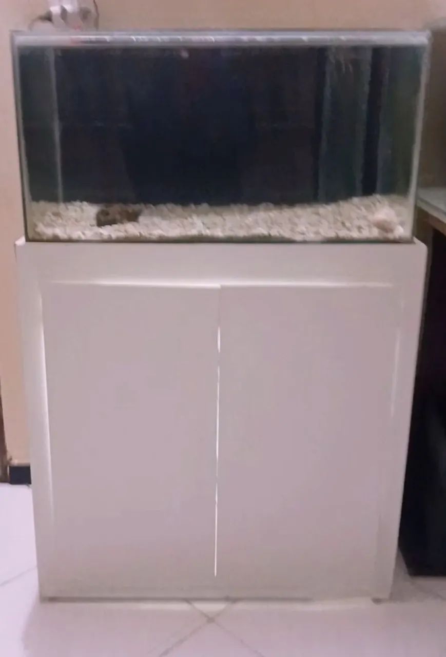 Aquário com sump