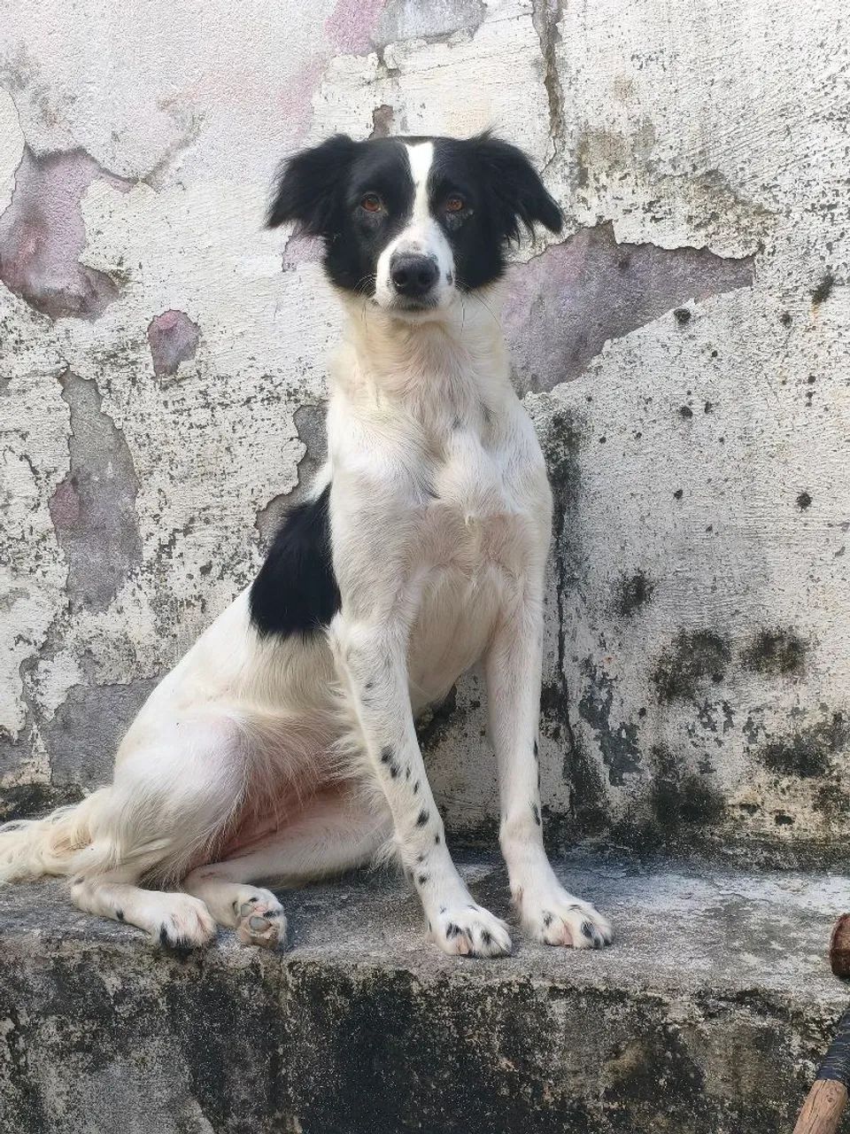 Doação responsável!!
