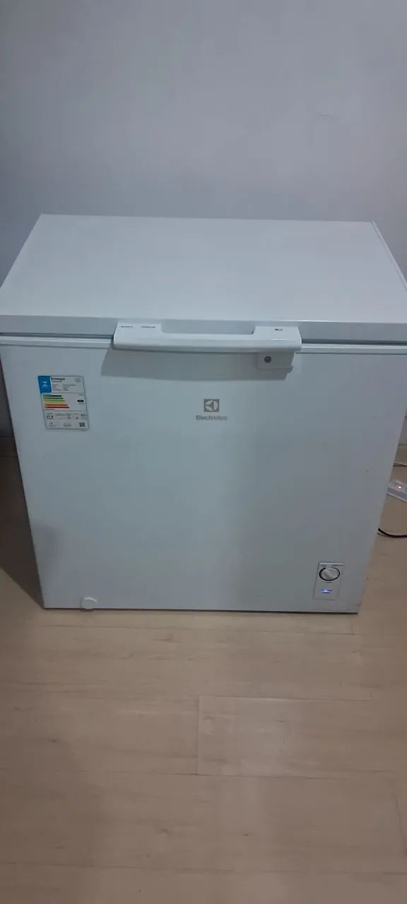 FRK401 中古品 FREZZER ELETROLUX 200 LTS - Geladeiras e Freezers - Ramos, Rio de