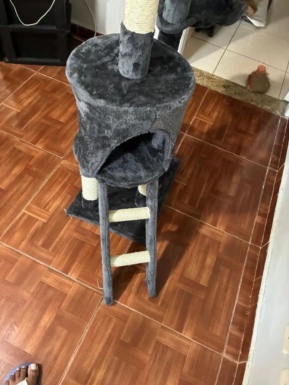 Pulseiro gato