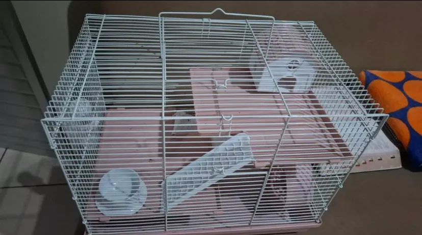 Gaiola de Hamster  - Foto 2
