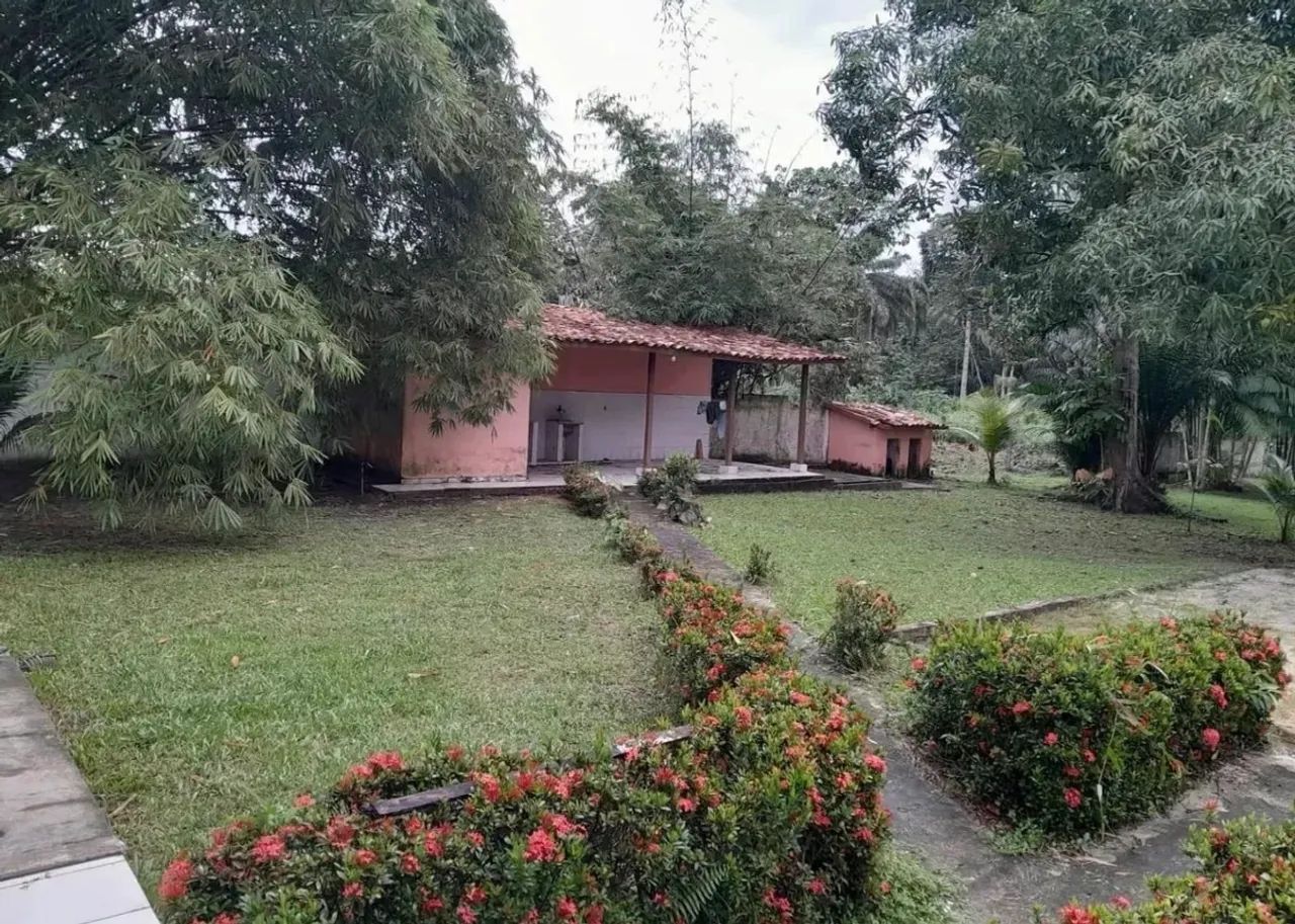 CHÁCARA A VENDA EM CAMPO LARGO  - Foto 5
