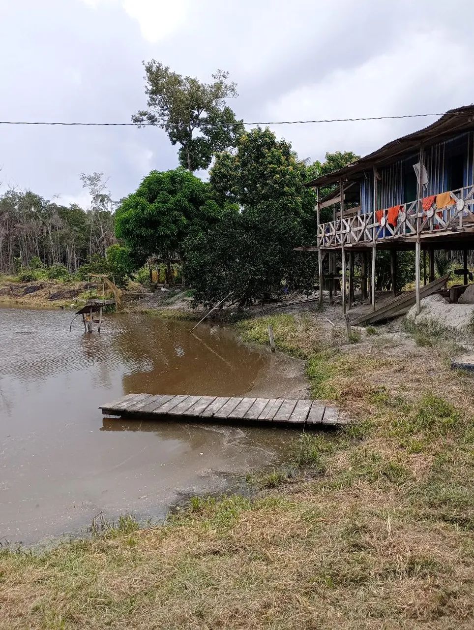 Sítio na Br 319 - Foto 2