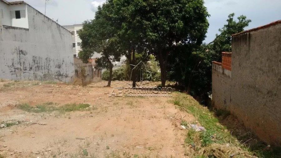 TERRENO,0 Dormitorio(s) bairro Europa - Foto 4