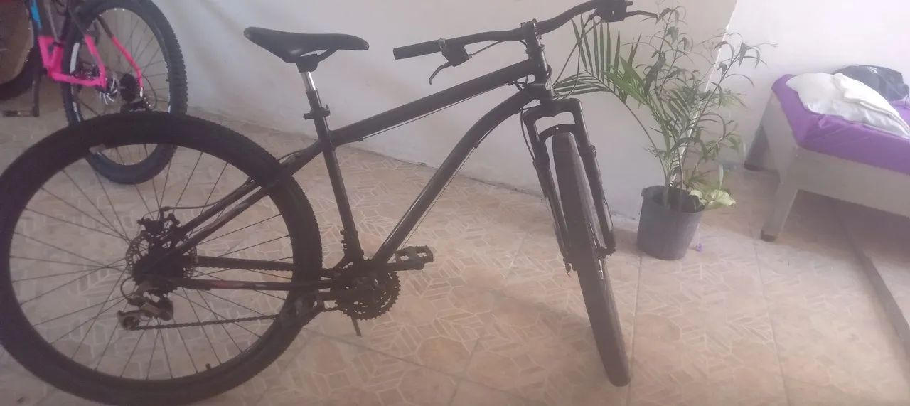 Bicicleta 29