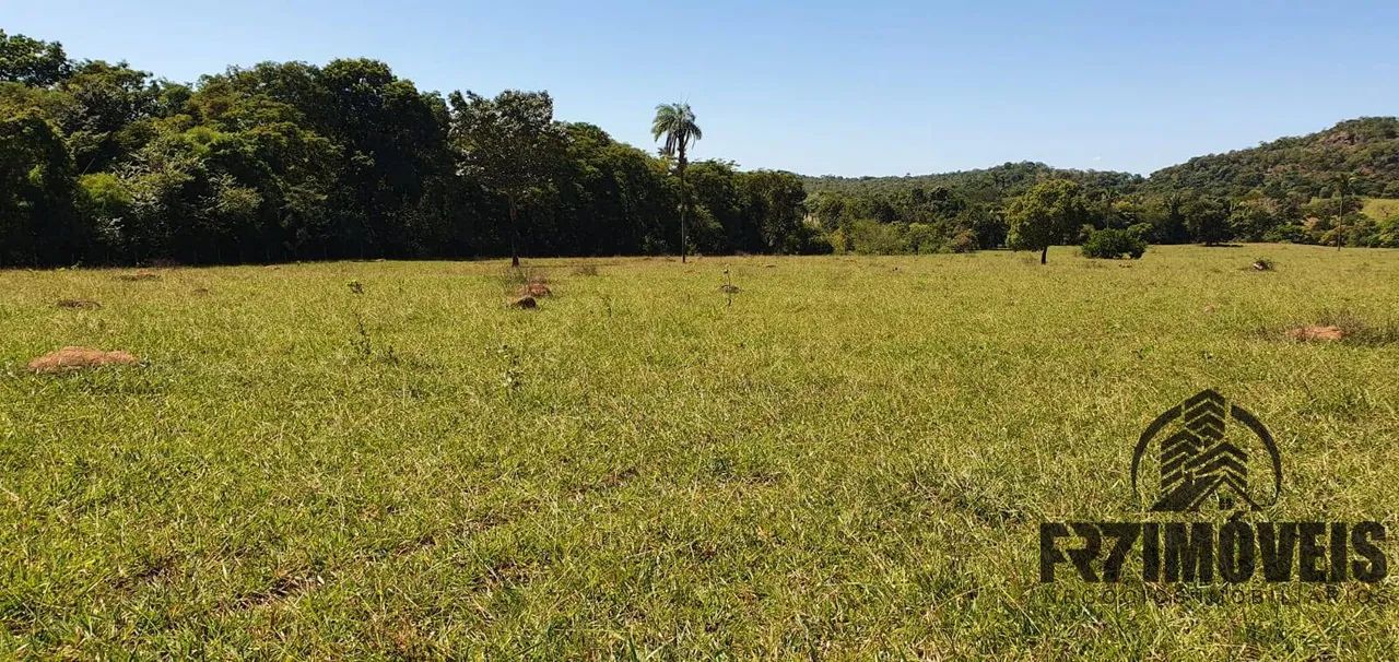 FAZENDA EM URUAÇU  GO - Foto 5