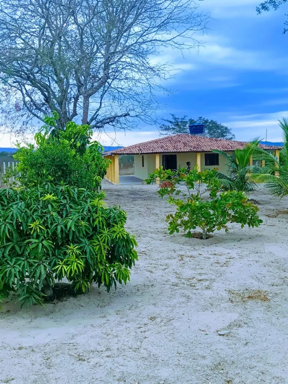 Chácara a venda - Foto 2