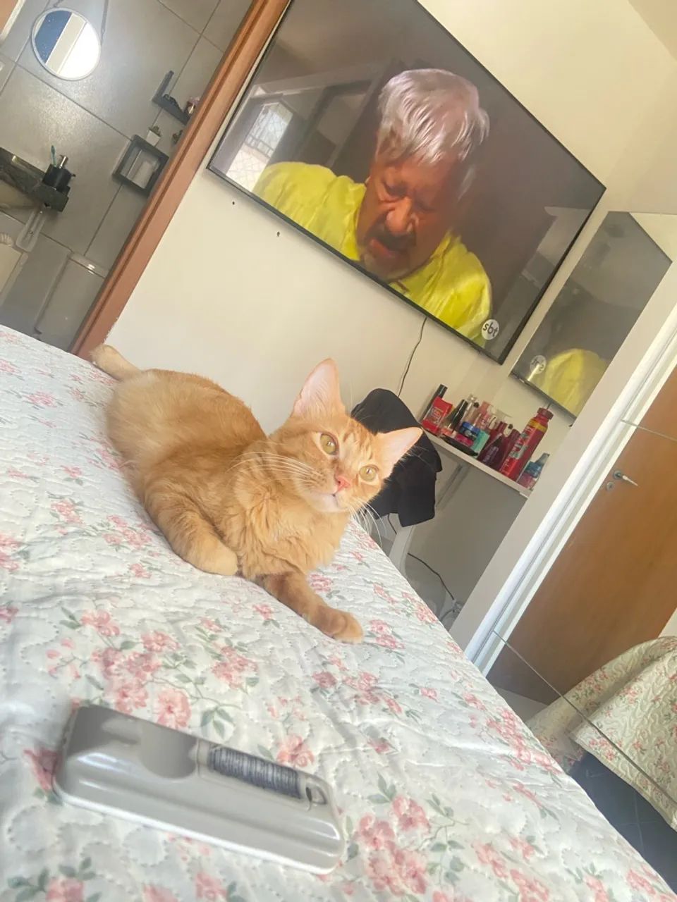 ADOÇÃO RESPONSÁVEL  - Foto 4