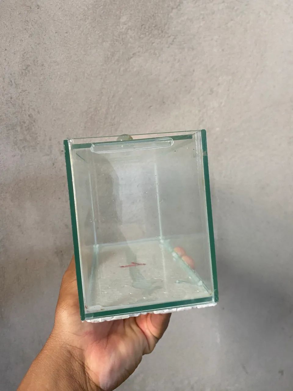 AQUARIO 415075236011714562