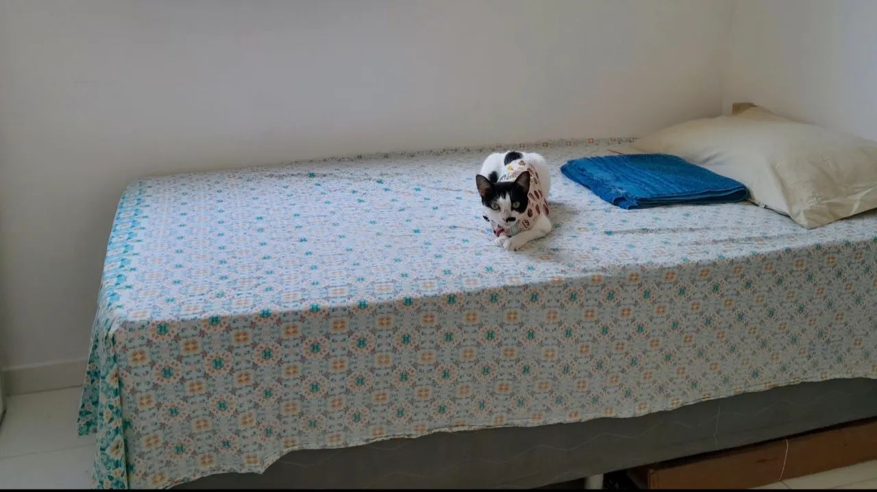 Cama + Box Solteiro - Foto 2