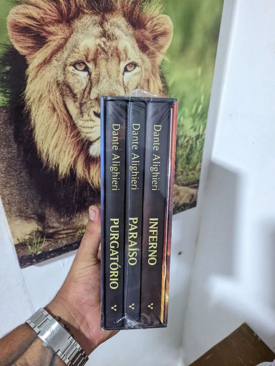 Livro Box a divina comédia  - Foto 2
