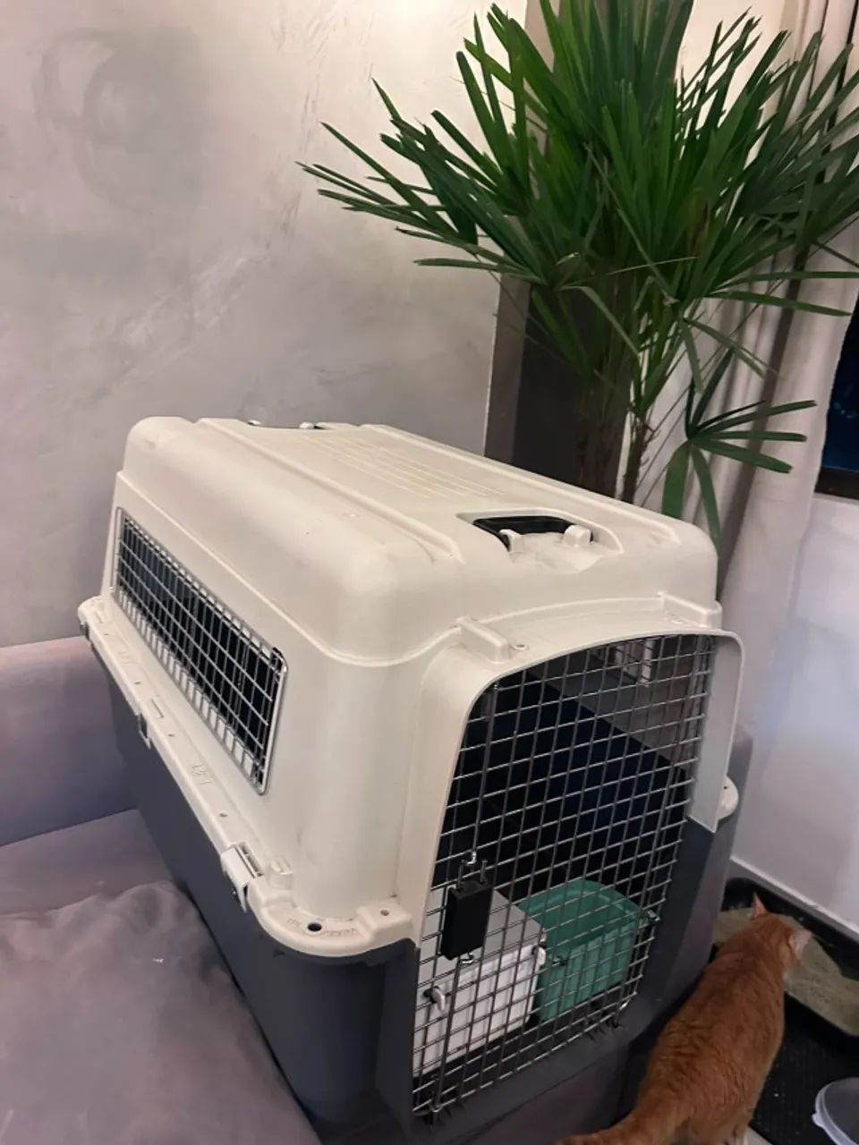 Caixa de Transporte para Cães e Gatos Gomoov G - Foto 3