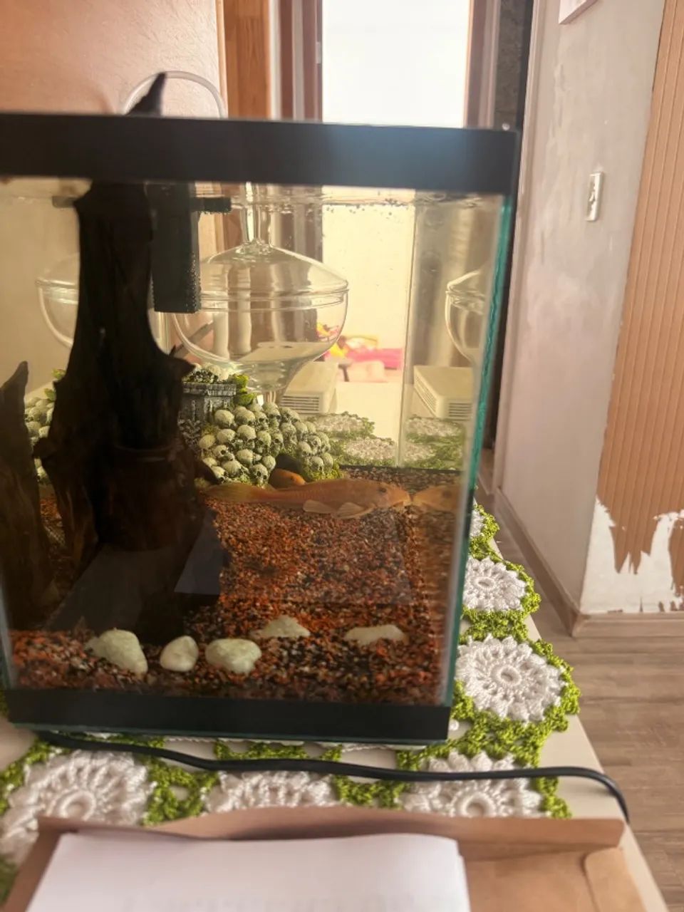 Aquário 20L - Foto 3