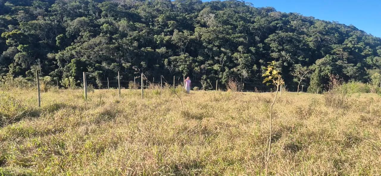 Chácara no Campo Alegre - Foto 5