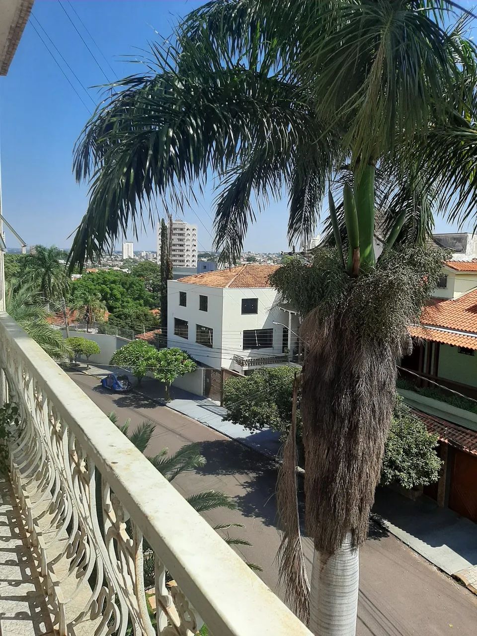 Foto - Presidente Prudente - Bosque