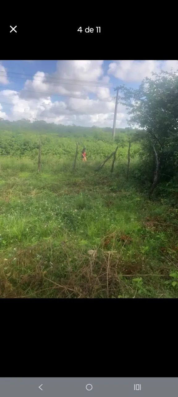 Vendo esse terreno  - Foto 4