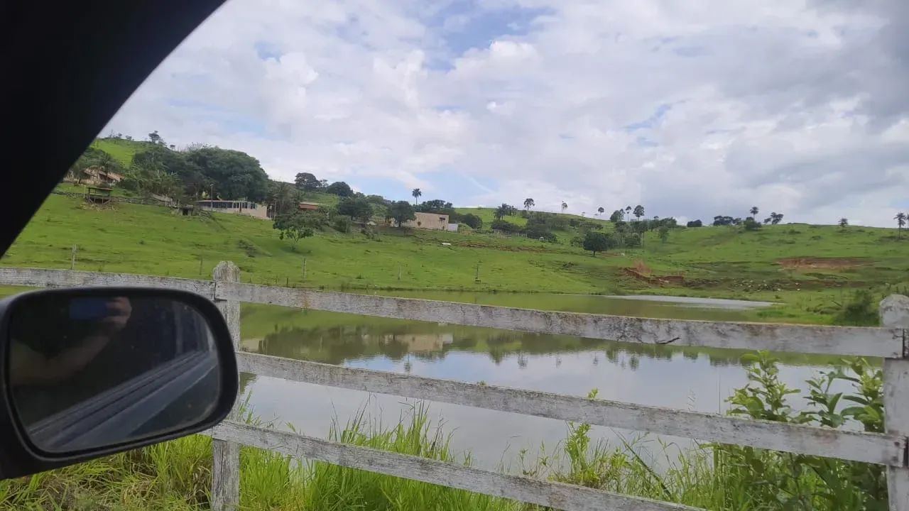 Fazenda para lazer(vida) ,pecuária boi
