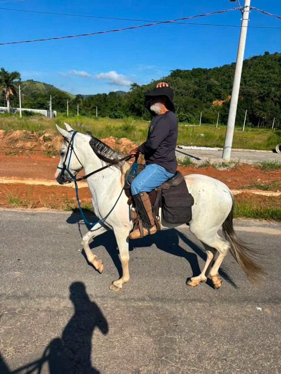 Cavalos  - Foto 2